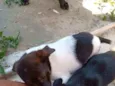 Não tem