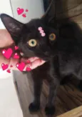 Mia