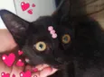 Mia