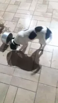 Ainda não tem nome