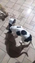 Ainda não tem nome