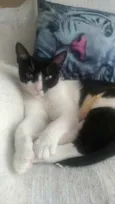 Cléo