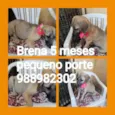 Brena
