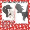 Naty