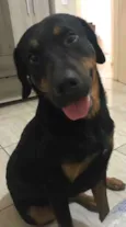 Paçoca