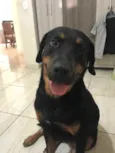 Paçoca