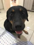 Paçoca