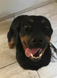 Paçoca