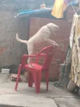 Bingo