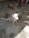 Bingo