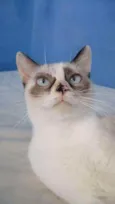Marie