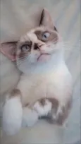 Marie