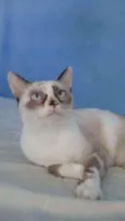 Marie