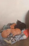 5 gatinhos