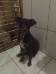 Scooby
