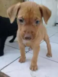 Não tem