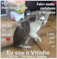 Vitinho
