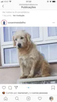 Polaca