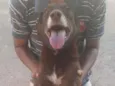 Danila