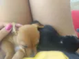 Junior