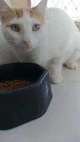 Zoé