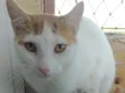 Zoé