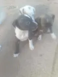 Não tem nome