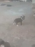 Não tem nome