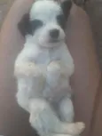 Não tem nome