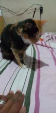 Menina e Miuda