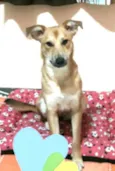 Princesa