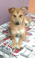 Princesa