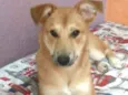 Princesa