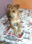 Princesa