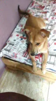 Princesa