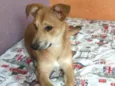 Princesa