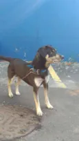 OTTO (provisório)