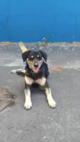 OTTO (provisório)
