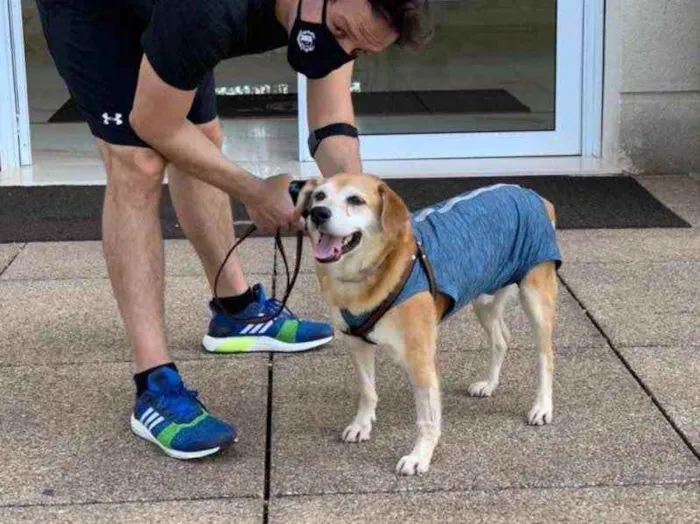 Cachorro ra a  idade 5 anos nome CARAMELO