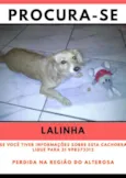 Lalinha