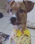 Théo