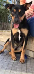 Eros