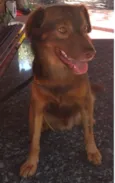 Tito