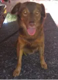 Tito