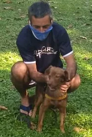 Cachorro ra a SRD-ViraLata idade 3 anos nome Tito