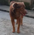 Tito