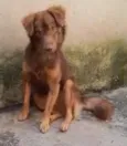 Tito