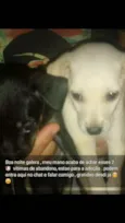 Preta e branquinha