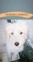 Sem nome ainda