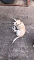 Sem nome ainda